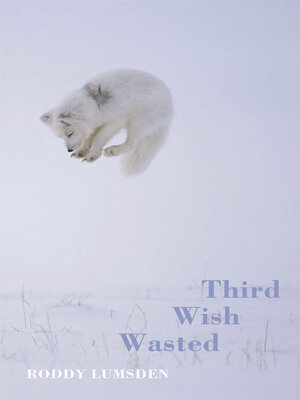 cover image of Third Wish Wasted